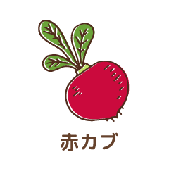 赤カブ