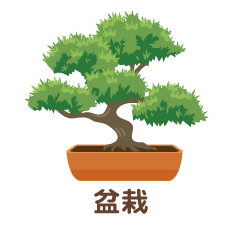 盆栽
