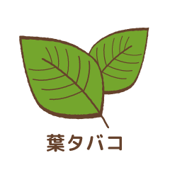 葉タバコ