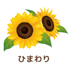 ひまわり