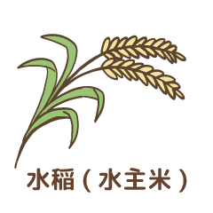 水稲(水主米)