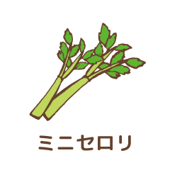 ミニセロリ