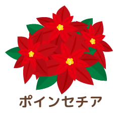 ポインセチア