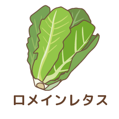 ロメインレタス