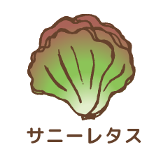 サニーレタス