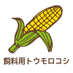 飼料用トウモロコシ