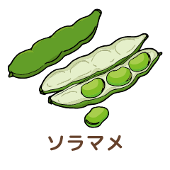 ソラマメ