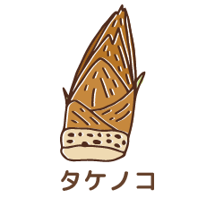 タケノコ