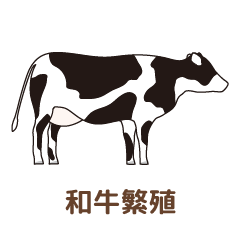 和牛繁殖